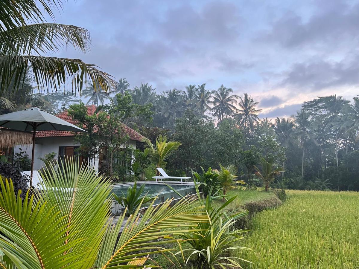 Uma Mupu Retreat Villa Payangan Kültér fotó