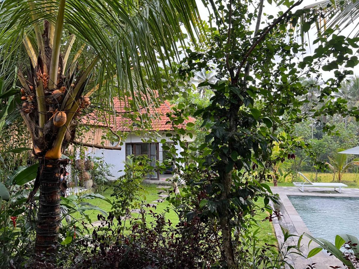 Uma Mupu Retreat Villa Payangan Kültér fotó