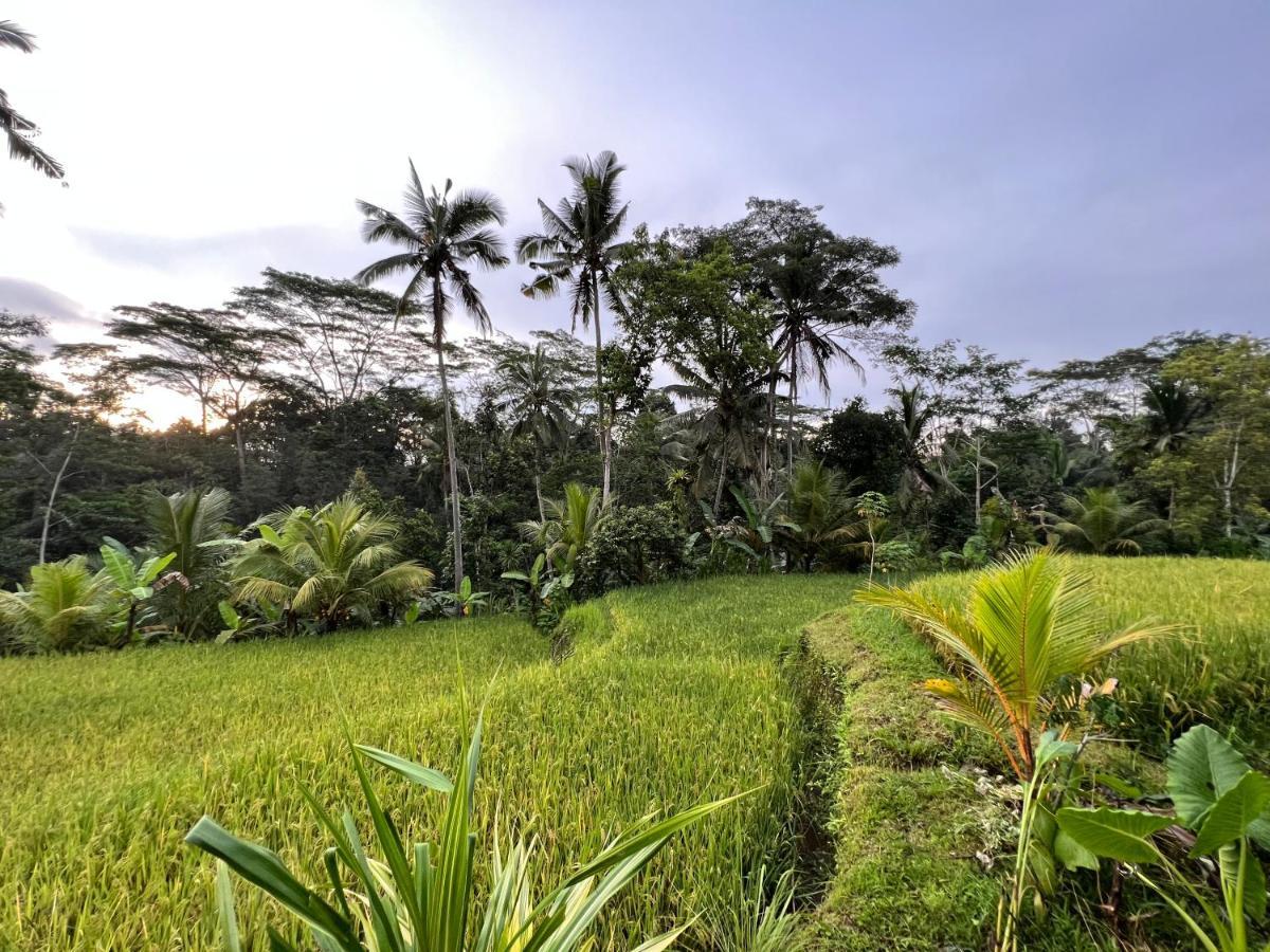 Uma Mupu Retreat Villa Payangan Kültér fotó