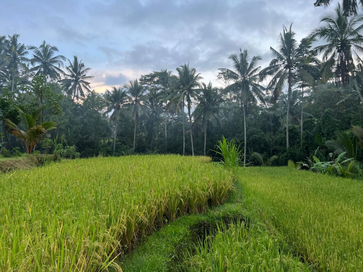 Uma Mupu Retreat Villa Payangan Kültér fotó